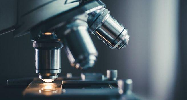 Pacific Edge (ASX:PEB) Rallies Today: Here’s What’s Driving It