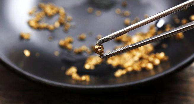 Koonenberry Gold Shares Slide 25.8% Despite Promising Drill Results at Sunnyside Prospect