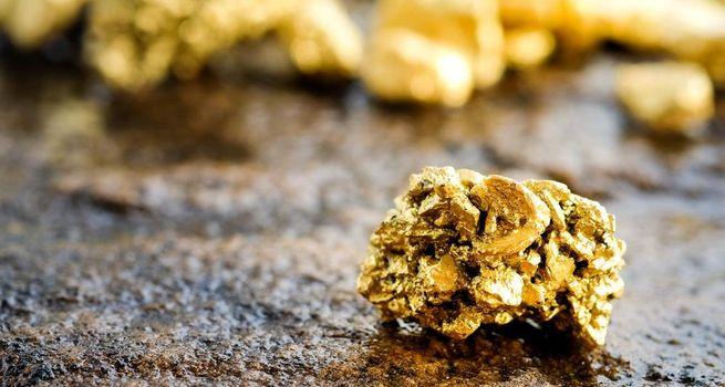 Why Did Northern Star Resources (ASX:NST) Shares Drop Nearly 19%?