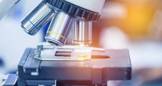 Rhythm Biosciences (ASX:RHY) Shares Jump as Investors Track Healthcare Sector Momentum