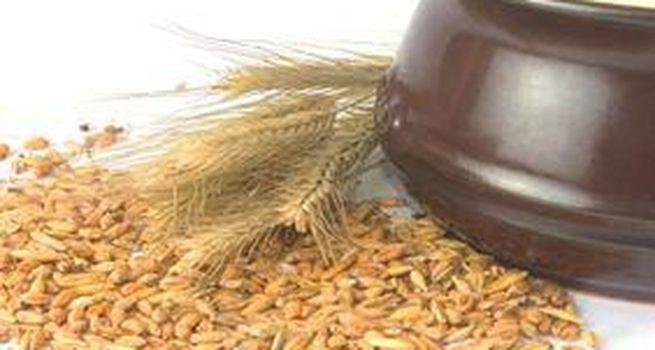 GrainCorp (ASX: GNC) plans to tap organic and inorganic opportunities to pursue growth