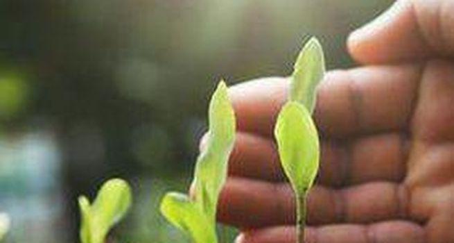 Lynch Group (ASX: LGL) expects Australian market to drive revenue growth in FY24