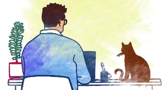 Thinking About a Self-Managed Super Fund? Know the Rules Before You Dive In