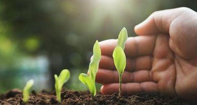 Nufarm (ASX: NUF) eyes moderate EBIT growth in FY23 amid ‘good’ demand for its products