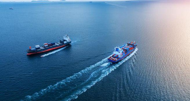 Bhagwan Marine Ltd (ASX: BWN) Declares $0.005 Interim Dividend: Can Offshore Marine Services Support Long-Term Investor Returns?