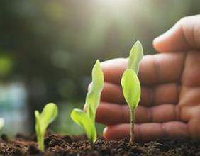 Lynch Group (ASX: LGL) expects Australian market to drive revenue growth in FY24
