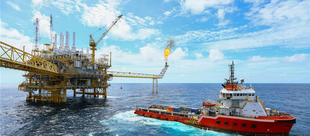 4 Tipped Stocks of the year with good fundamentals - WPL, QAN, CBA, SUL