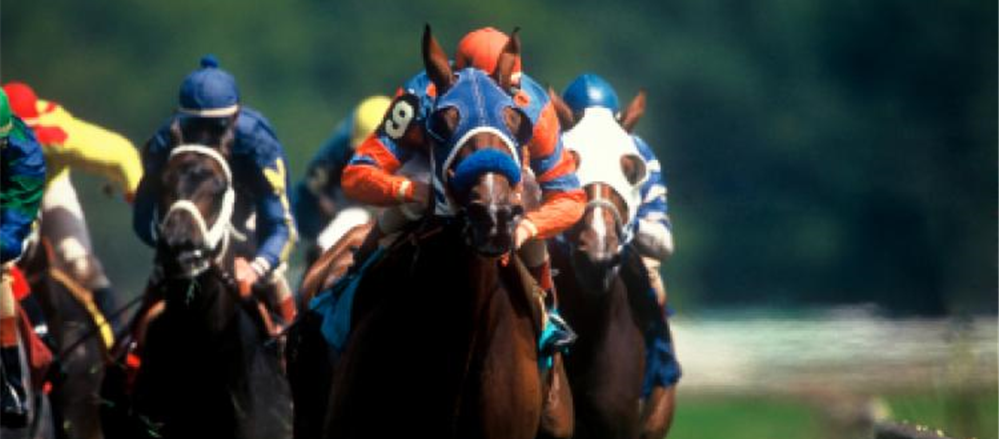 Melbourne Cup Day and Stock Punting