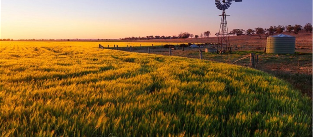 3 Shorted Shares on ASX: NUF, BAL, IFL