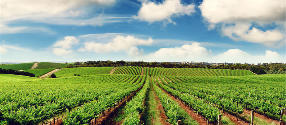 Duxton Broadacre Farms to list on ASX – Should you Grab a Pie?