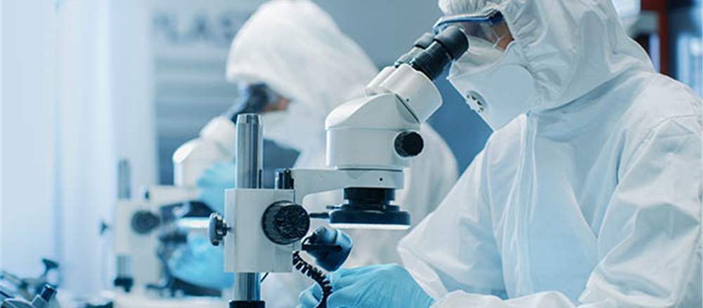 3 Most discussed Small-cap Stocks of 2019 - ANO, AVH, PPK