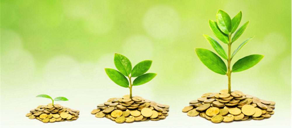 Three stocks for dividends and growth – FlexiGroup, Automotive Holdings Group & G8 Education