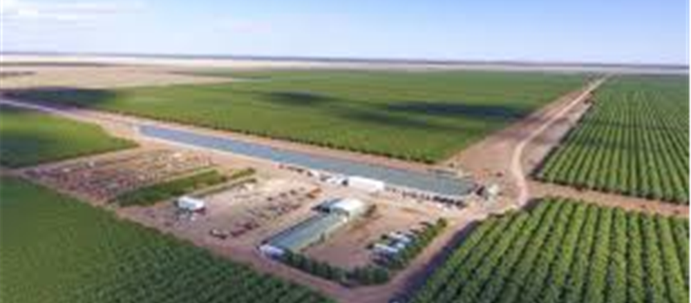 4 Real Estate Stocks - RFF, HMC, ARF, LLC