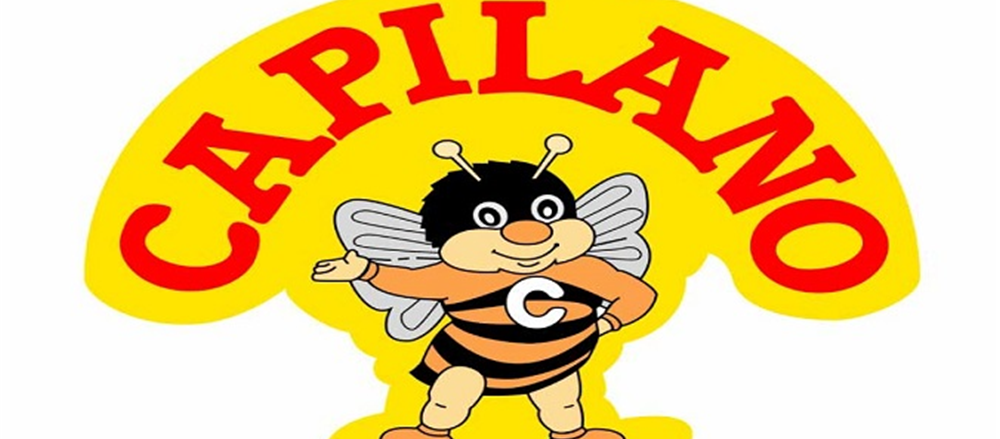 Is Capilano Honey Ltd share price in the buy zone?