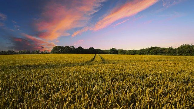 One Agriculture Stock to Look At- ROO
