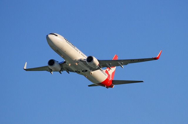 Are These 2 Airline and Travel Related Stocks in Buy Territory- QAN, WEB