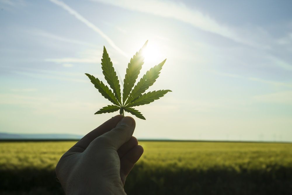 How Should Investors Perceive This Beaten Down Cannabis Stock – EXL