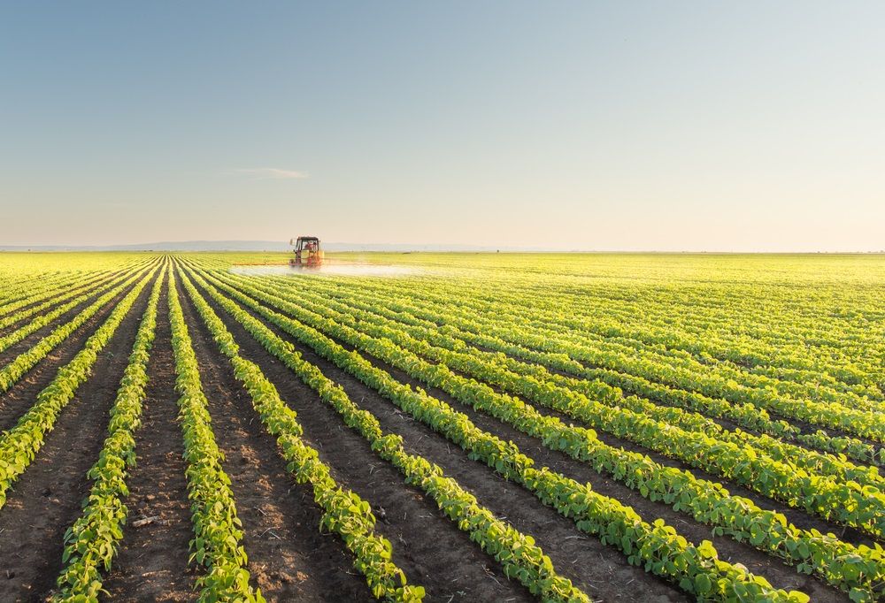 Technical Analysis Report - One Food Processing Company Expected to Gain Momentum - RIC