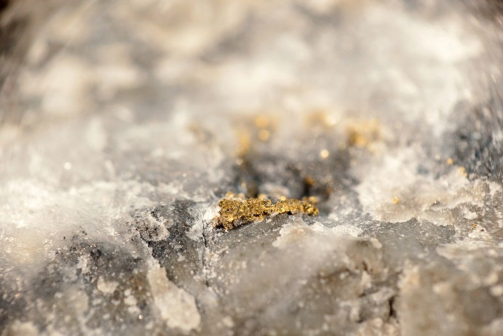 Should Investors Bet on These Gold Stocks from Long-term Perspective- NCM, WAF