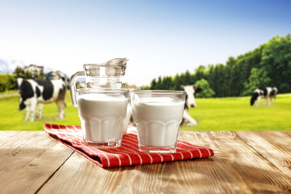 2 Beaten Down Stocks from Dairy Space- A2M, KTD
