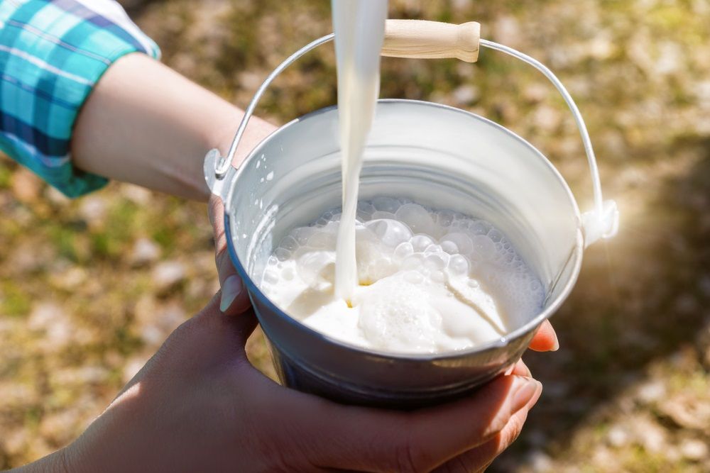 Should Investors Bet on this Dairy Stock for Long-Term growth – A2M