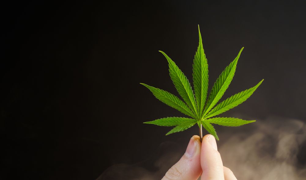 2 US Stocks Under Investors' Radar: Tilray & Ampio Pharmaceuticals