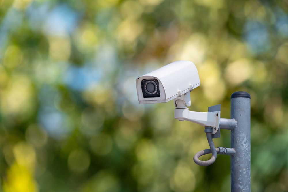 Is it Worth to Book Profit on this Data Protection & Cloud Services Stock - SEN