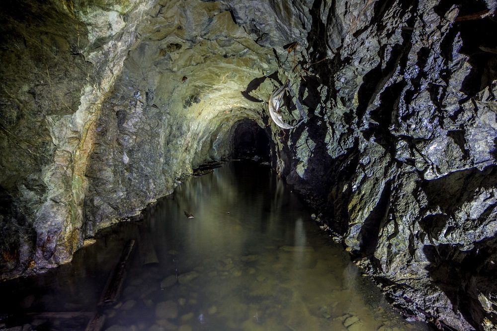 How is the Business Scenario Trending for these Battery Related Stocks- WSA, JMS, TLG