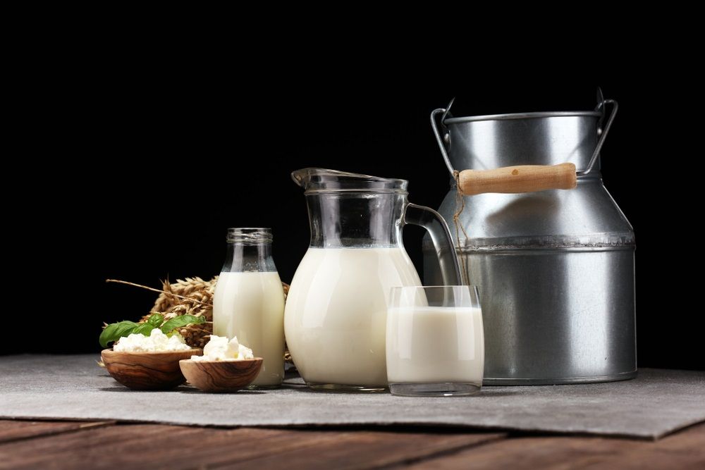 2 Dairy Stocks for Long-Term Bet- A2M, BUB