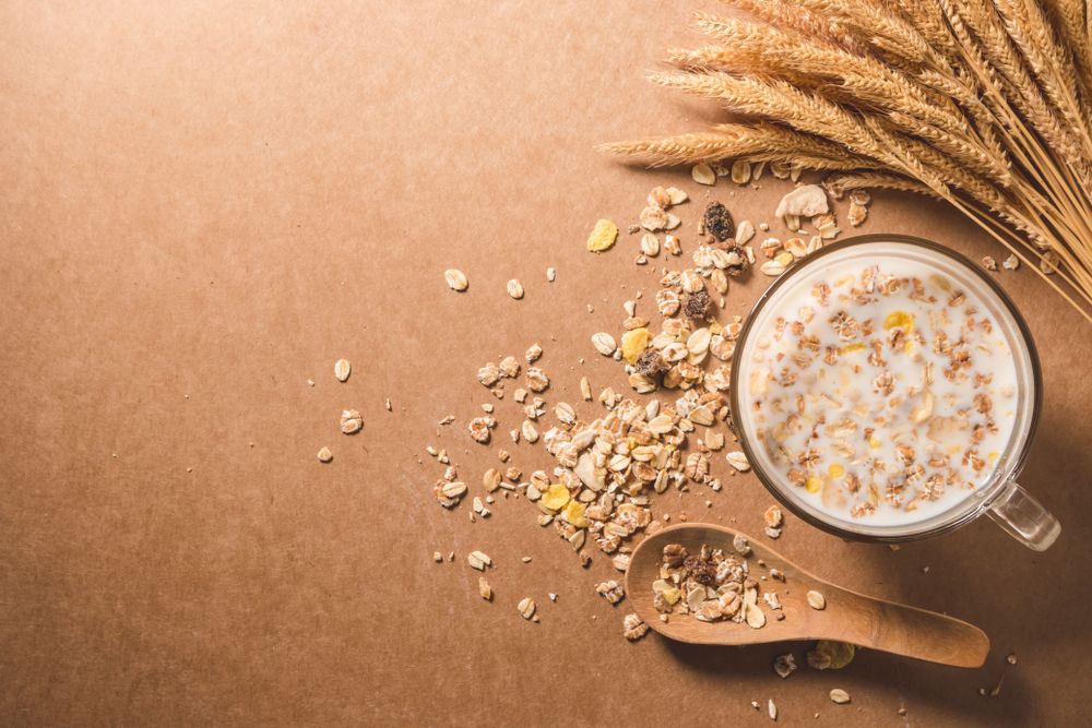 Should you Invest in this American Food Company – K