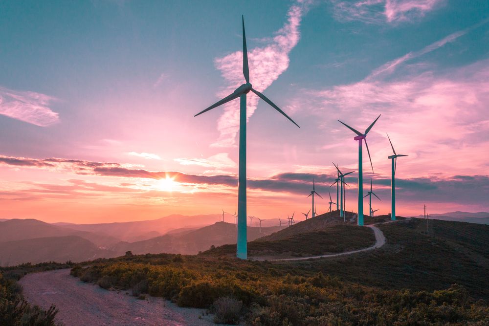 Should you Invest in this Green Energy Stock – MEZ