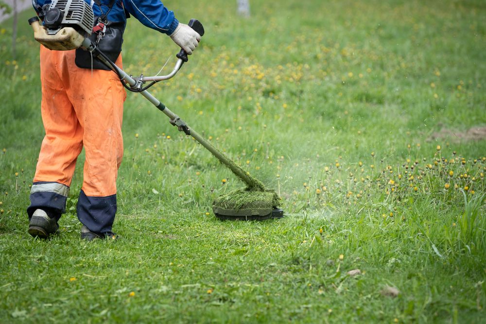 One Global Agricultural Input Stock for Investors – SMG