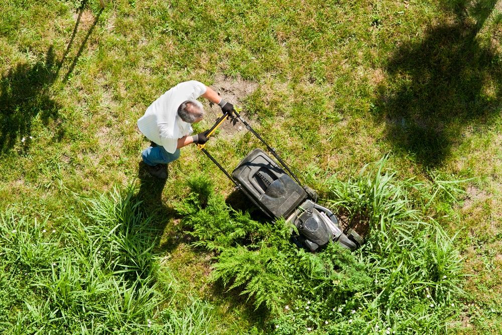 Business Insights on One Agricultural Inputs Stock - SMG