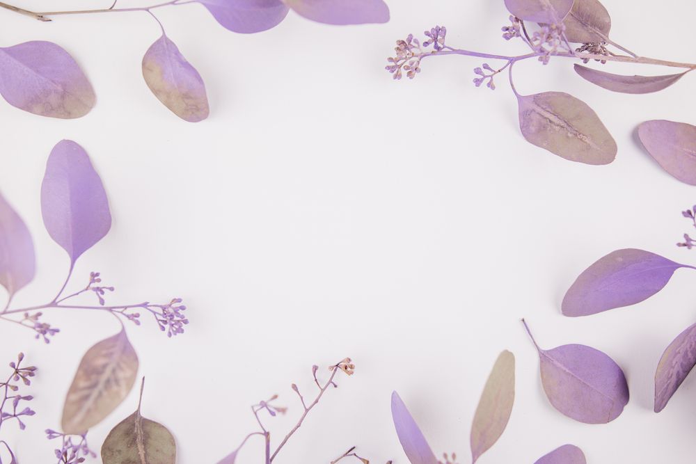 One Flower Grower Stock with Decent Growth Prospects - LGL