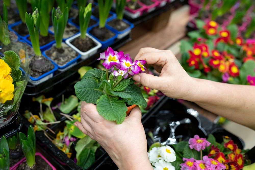 Should You Invest in This Fishing and Farming Stock- LGL