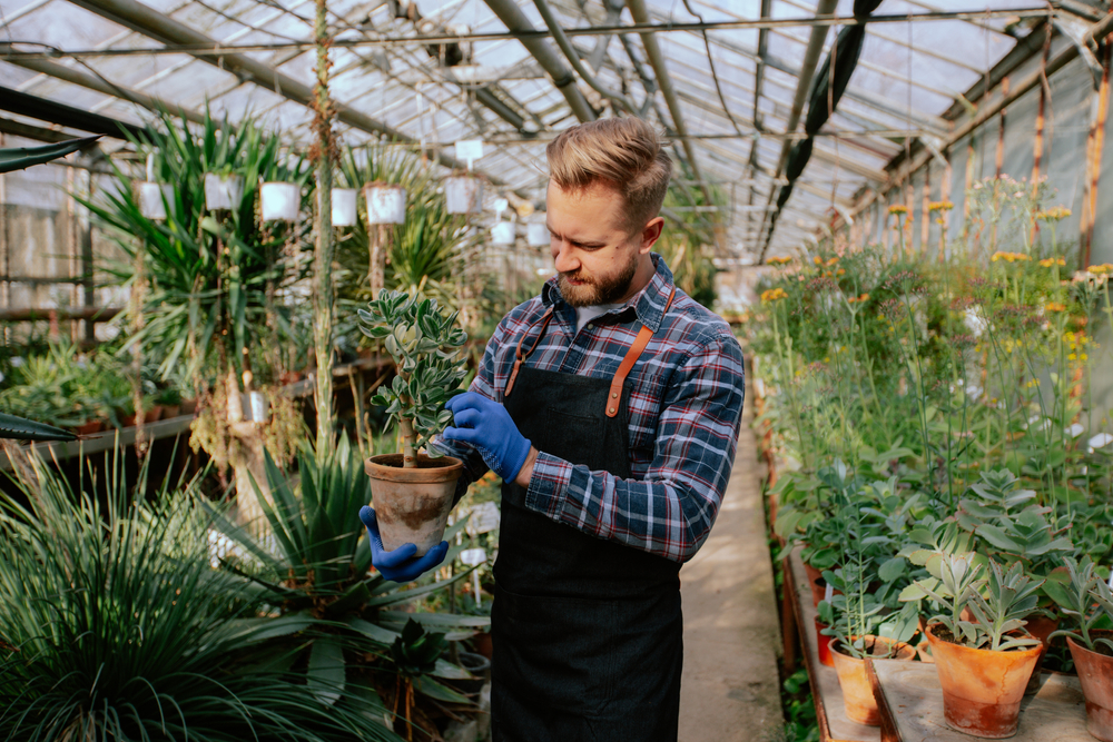 One Flower Grower and Wholesaler Trading at Deent Levels- LGL