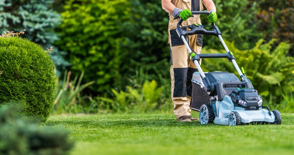 Can This Gardening Stock Deliver Long-term Growth – SMG