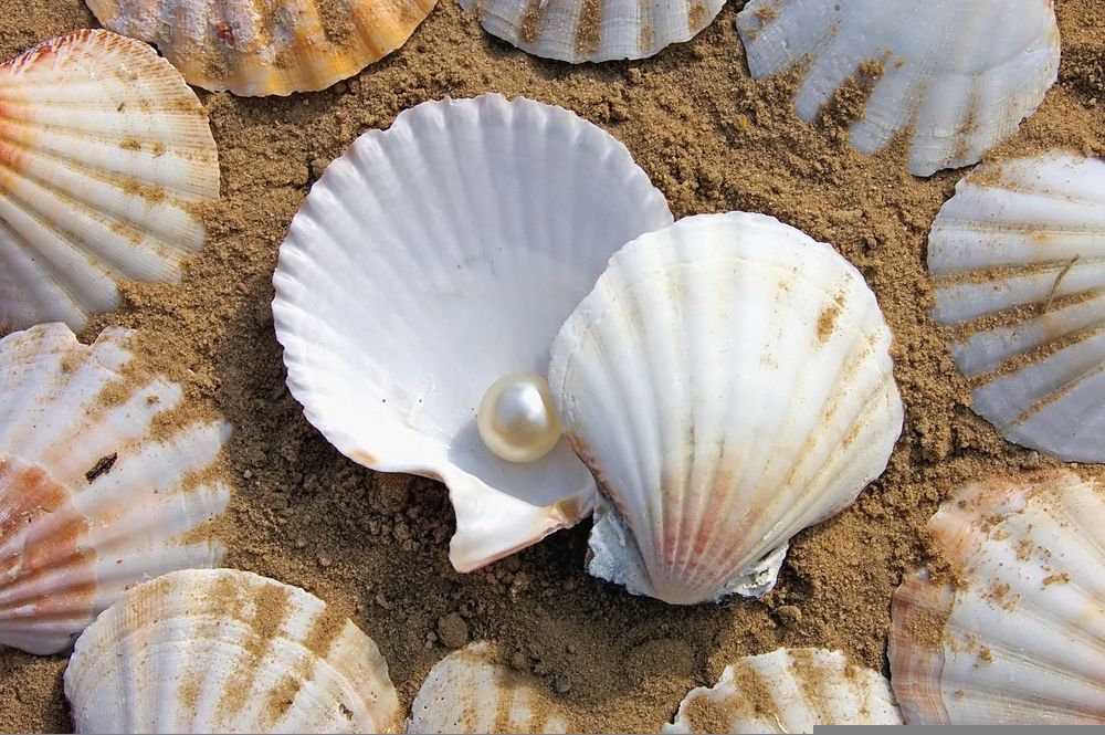 How is the Business Trending on this Pearls Producer - ATP?
