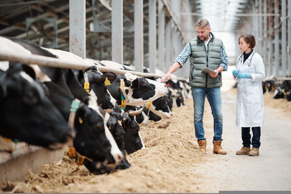 Is it Prudent to Sell this Milk Product Stock at Current Levels - A2M?