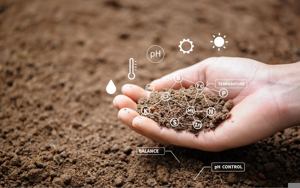 Is It Prudent to Invest in This Australian Horticulture Stock- NUF