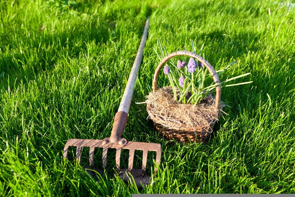 Is It Prudent to Invest in This Agricultural Input Stock - SMG