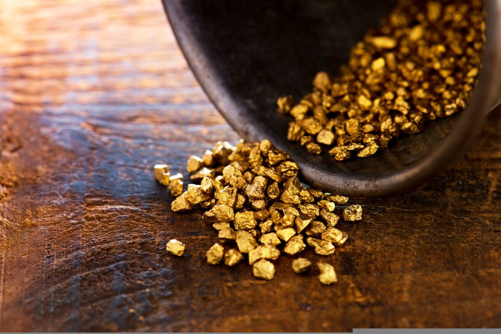 Fundamental Insights on These Two Dividend Paying ASX Stocks- NCM, COF