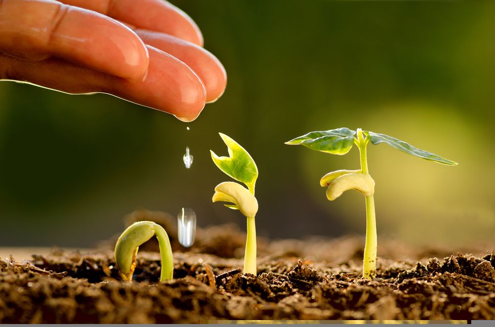 Should You Consider Selling This Agribusiness Stock - SCL