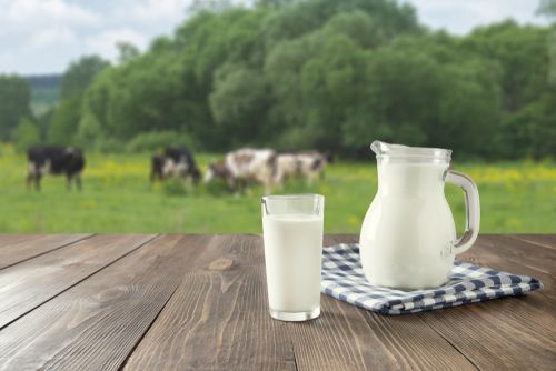 One Stock to Speculate on from the Milk Production Business Amid Escalating Global Tension – SM1