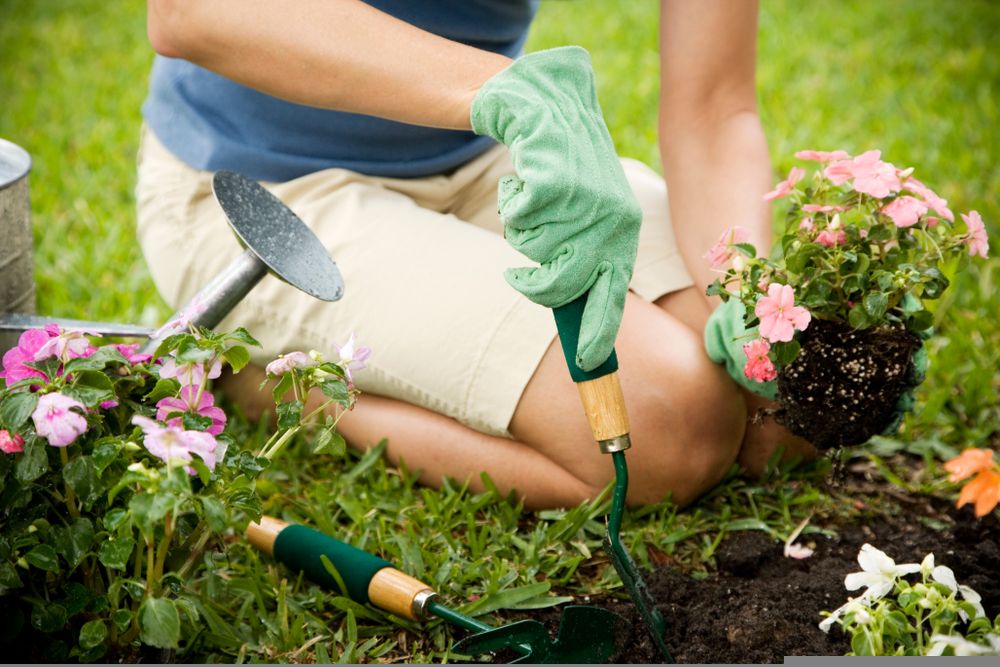 How is Business Trending In This Gardening Stock – SMG