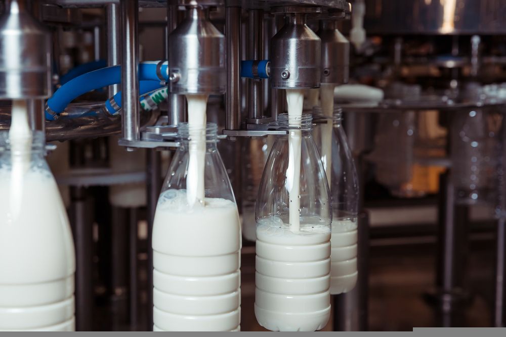 Should you Exit from this Dairy Stock at Current Levels - SM1?