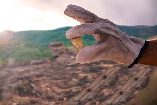 How is This Gold Mining Stock Performing -WGX