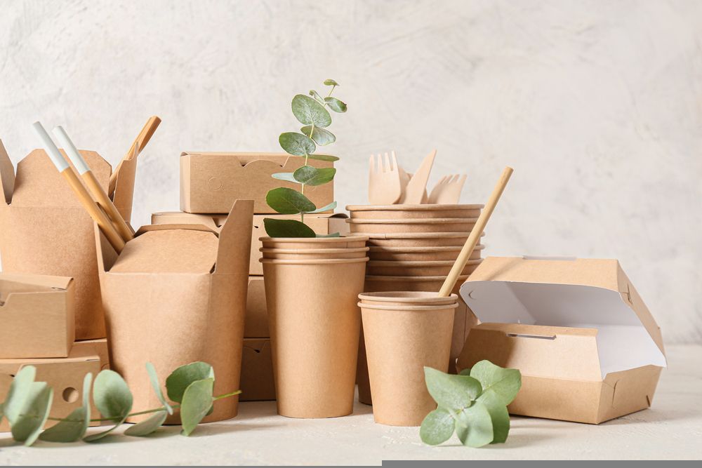 Fundamental Insights on this Packaging Materials Stock - SES