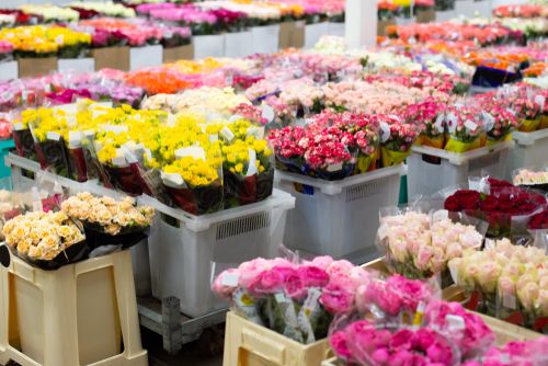 How is This Farm Products Stock Performing - LGL