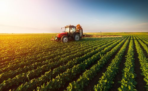 Fundamental Check on this Farm Products Stock - ELD